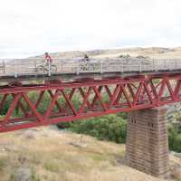 Crossing the Poolburn Viaduct on the Otago Rail Trail | Tom Powell