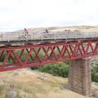 Crossing the Poolburn Viaduct on the Otago Rail Trail | Tom Powell
