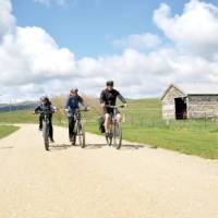 Cycling open fields on the Otago Rail Trail | Toni Wythes