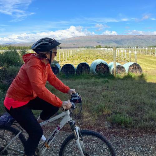 Central Otago scenery is incredibly beautiful