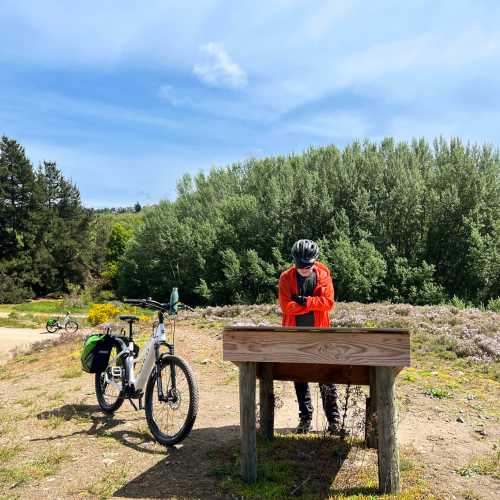 Self-Guided Otago Rail Trail Cycle Trips Cycle the Full 152km