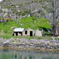 Historic Cottage, Roxburgh Gorge