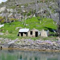 Historic Cottage, Roxburgh Gorge