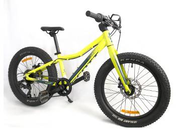 20' childs bike