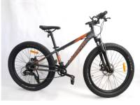 24' childs bike