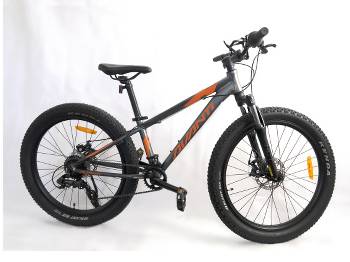 24' childs bike