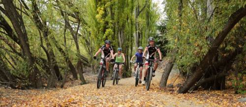 Alexandra mountain bike 2025 trails
