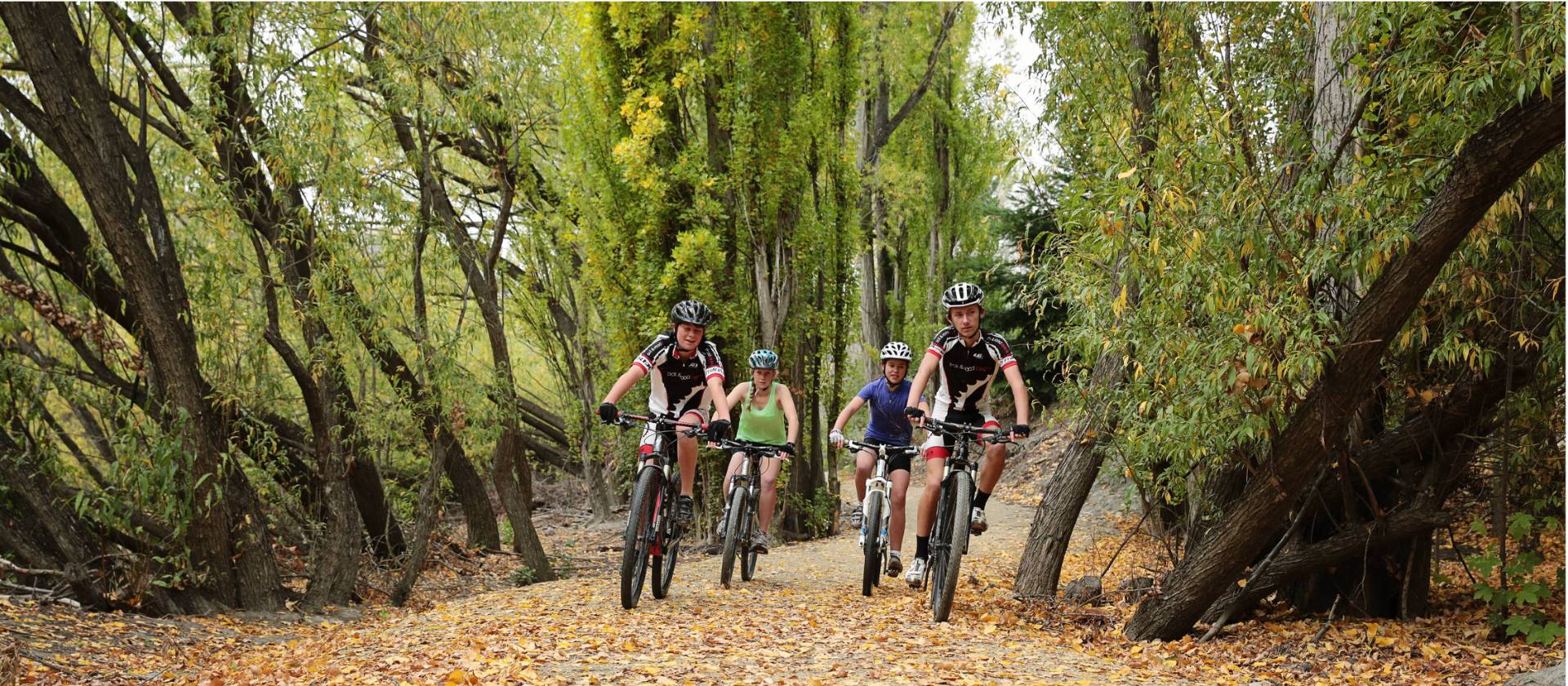 Trees turning for Autumn on the river track | James Jubb