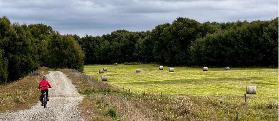 Enjoying some solitude on the Otago Rail Trail | Robert M