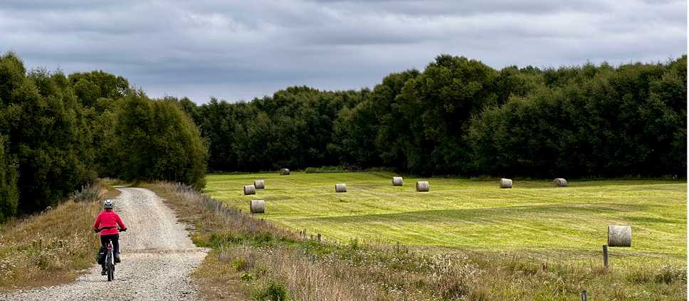 Enjoying some solitude on the Otago Rail Trail | Robert M