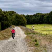 Enjoying some solitude on the Otago Rail Trail | Robert M