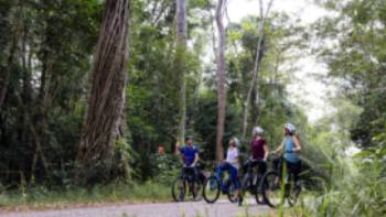 0N5A3168,Julia Anderson Experience the best of Australia's rainforest by bike