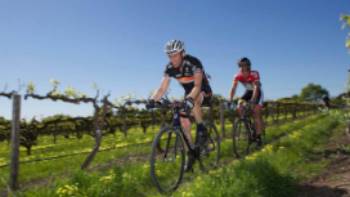 119716,Kevin Anderson The Barossa Valley is a wonderful destination for a cycling tour
