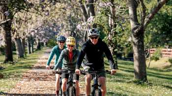 Murray to Mountains Rail Trail

