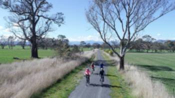 V43-467 GVRT_Olivers Rd West_0004_2 2018-09,Rail Trails Australia Cycling the Great Victorian Rail Trail near Olivers Road